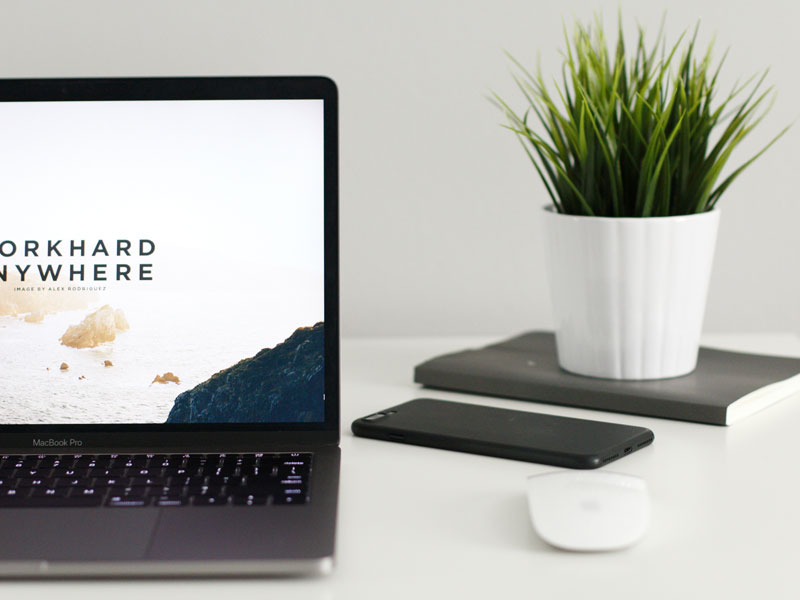 5 libros sobre productividad