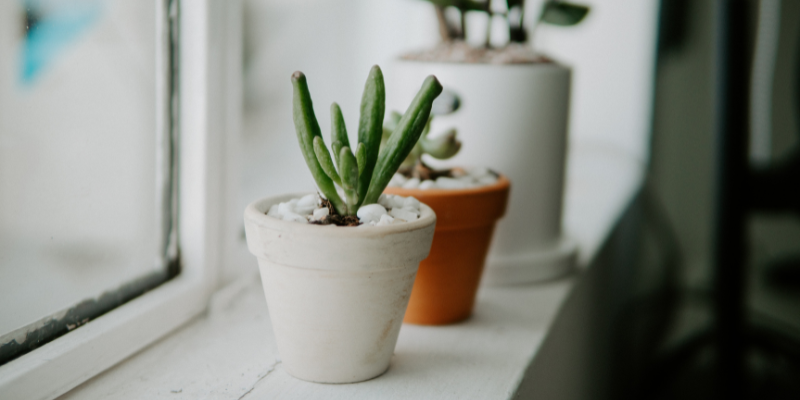 10 minutos de minimalismo al día